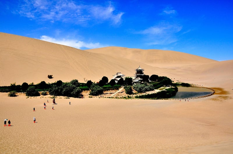 Earthly Oasis