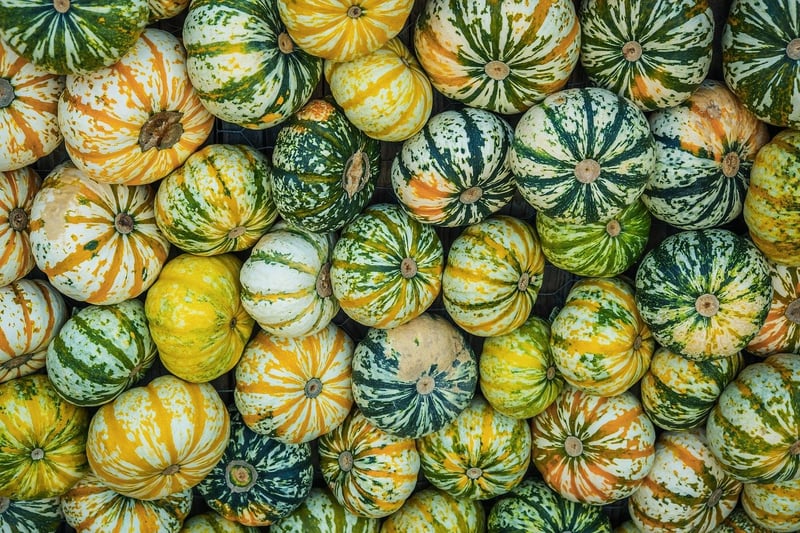 Fantasy Blossom Varieties